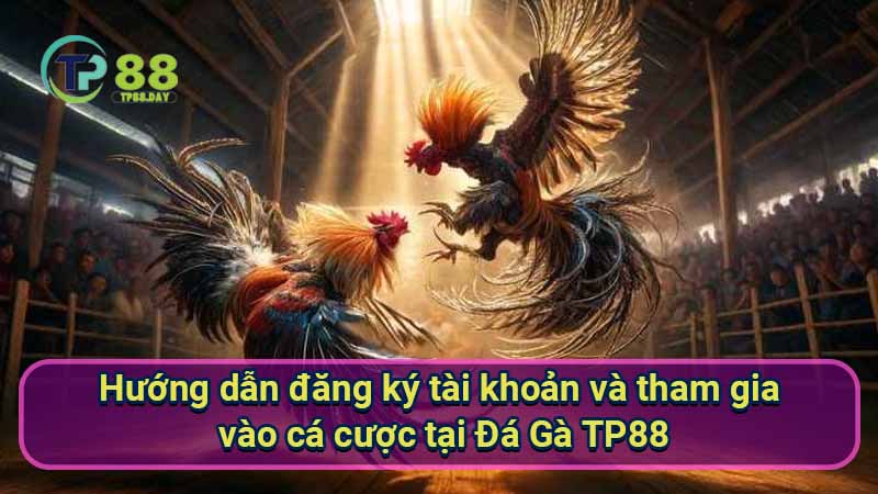 huong-dan-dang-ky-tai-khoan-va-tham-gia-vao-ca-cuoc-tai-da-ga-tp88