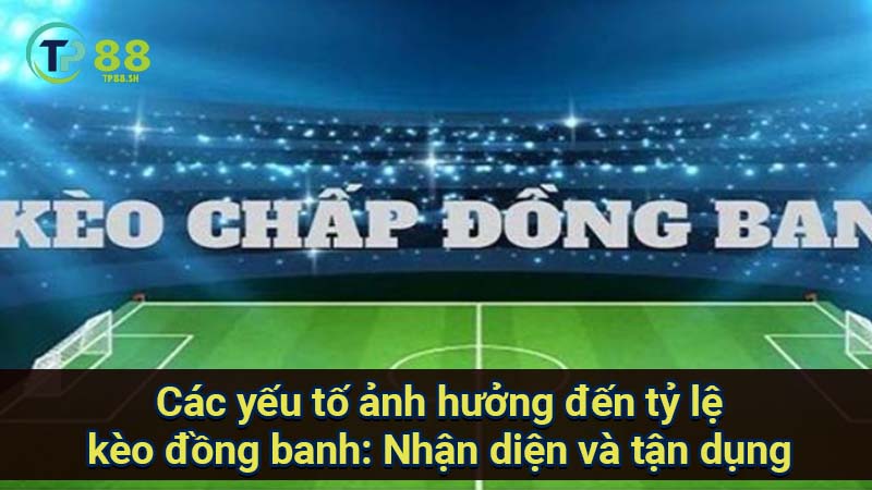 cac-yeu-to-anh-huong-den-ty-le-keo-dong-banh:-nhan-dien-va-tan-dung