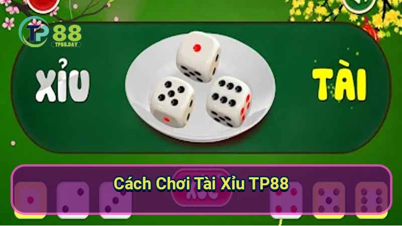 cach-choi-tai-xiu-tp88